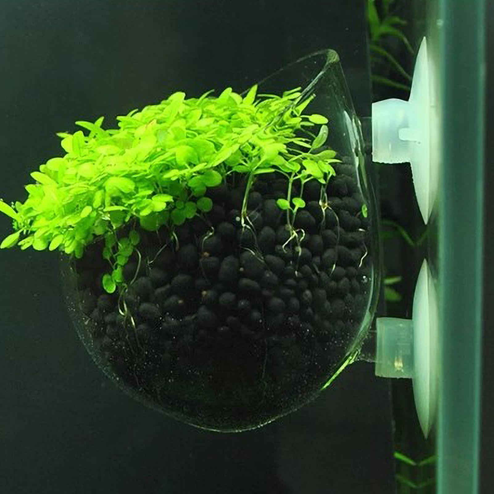 Aquarium Fish Enrichment - Держатель для аквариумных растений, стеклянный горшок