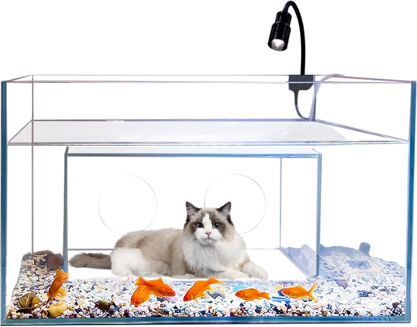 Домик-аквариум для кошек: креа – обзор и цена Fish Toys For Aquarium