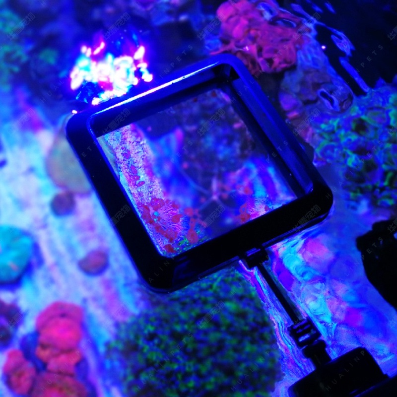 Магнитное кольцо для кормления – обзор и цена Aquarium Fish Freshwater