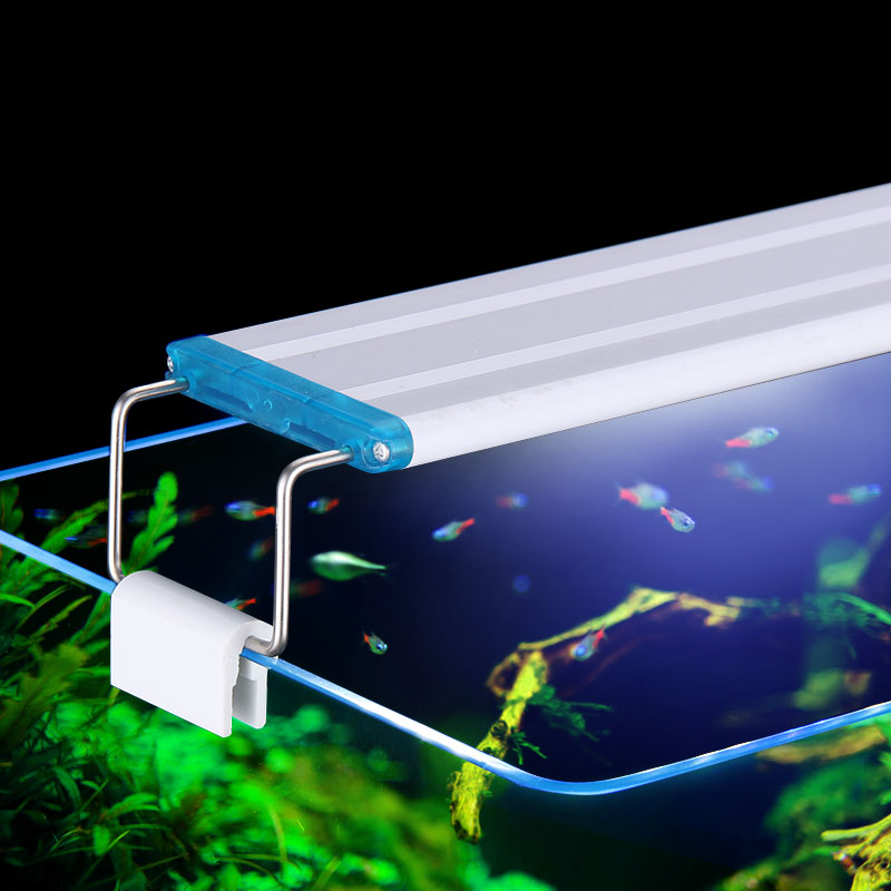 Расширяемый водонепроницаемый  – обзор и цена Aquarium Fish Photography