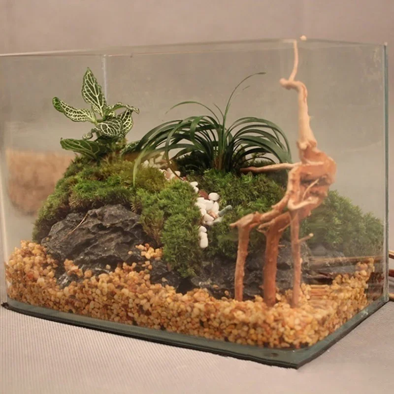 Натуральный ствол дерева Drift – обзор и цена Aquarium Fish Enrichment