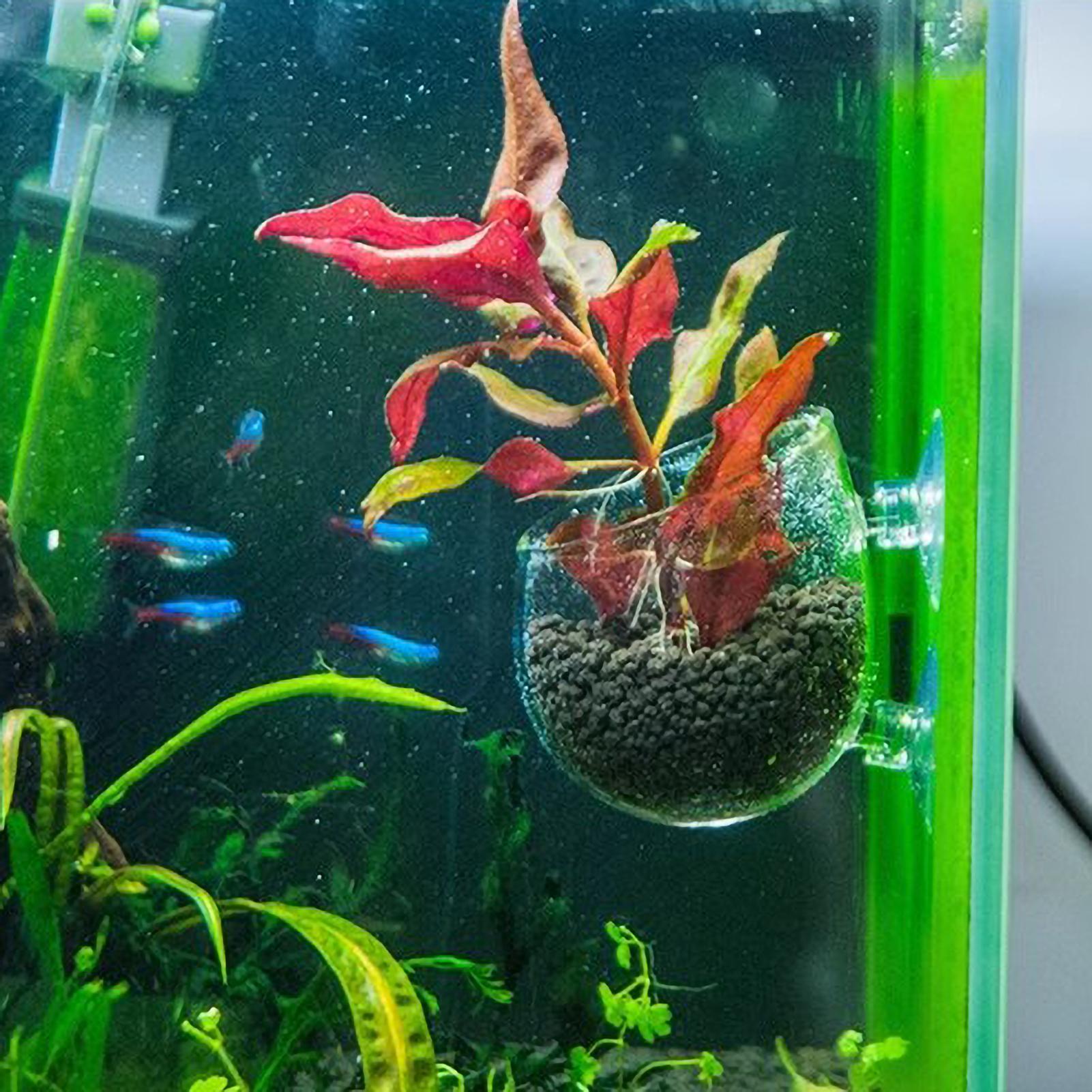 Держатель для аквариумных раст – обзор и цена Aquarium Fish Enrichment