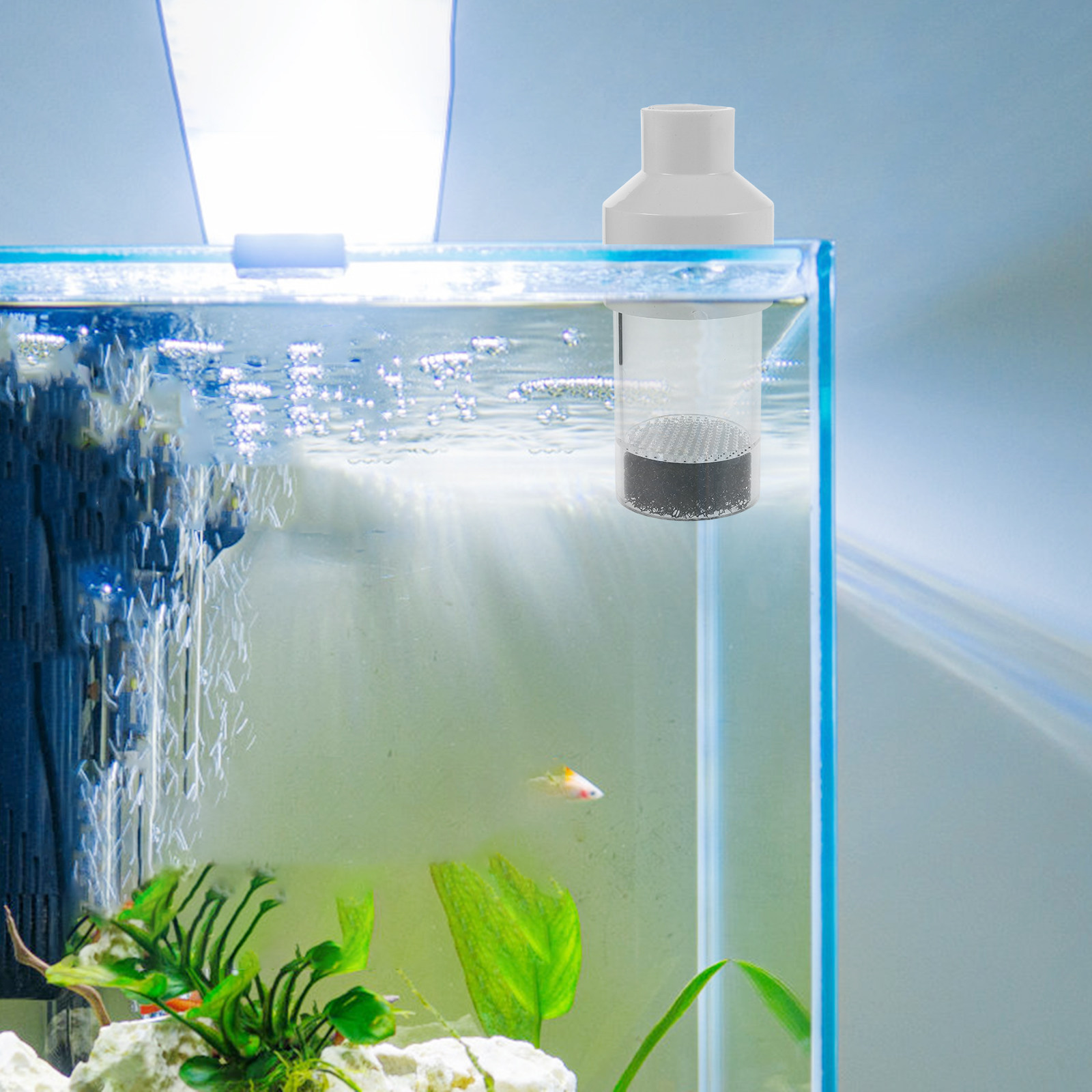 Инкубатор для рыбы 50 мм, аква – обзор и цена Aquarium Fish In