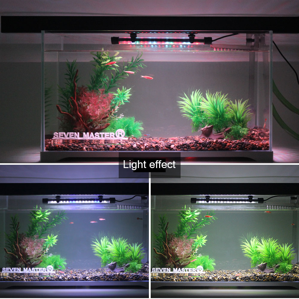 Светодиодный светильник для ак – обзор и цена Aquarium Fish Photography