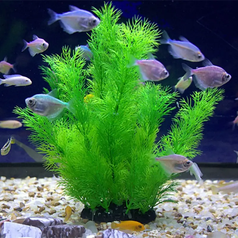 Искусственные растения для дек – обзор и цена Aquarium Fish Enrichment