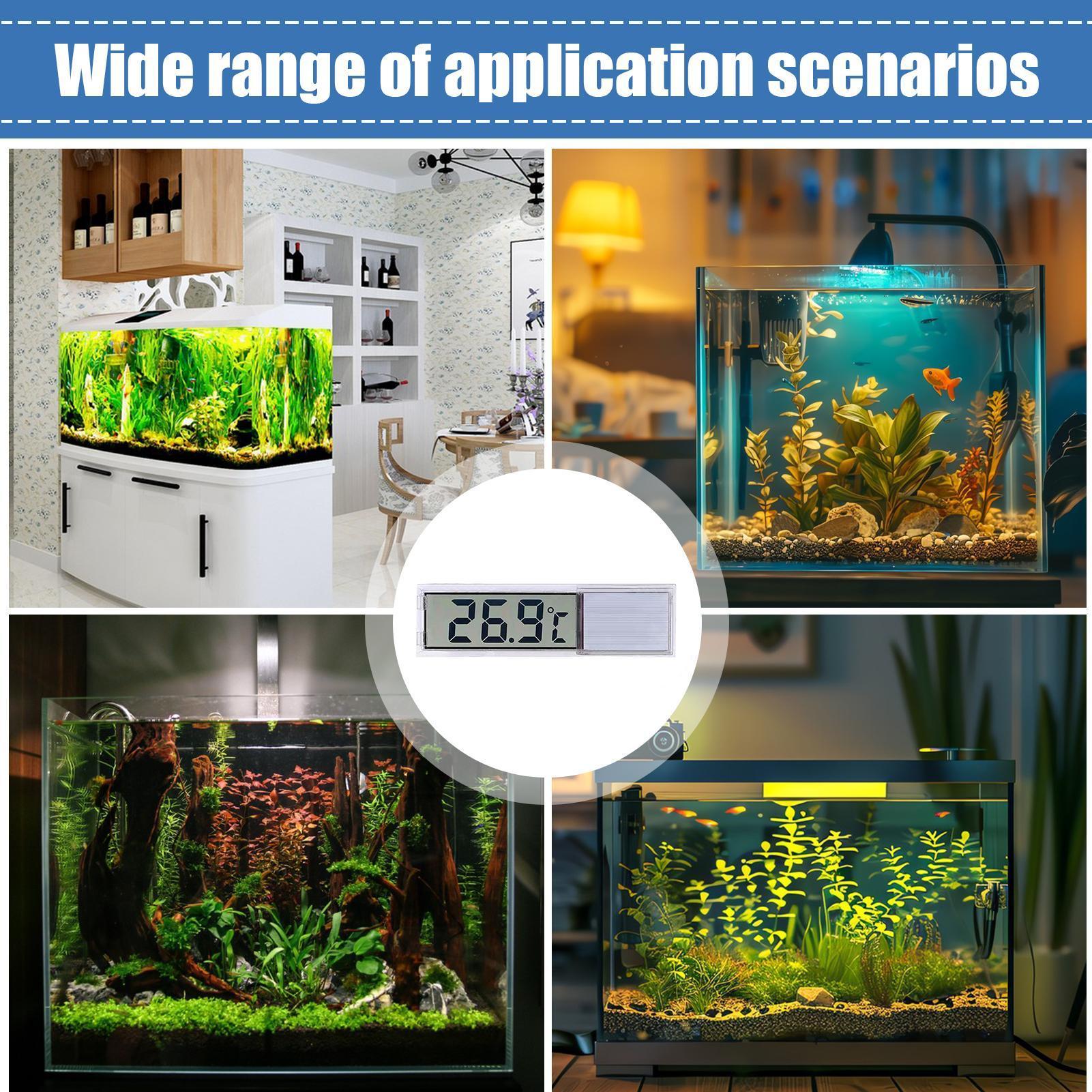 Датчик температуры в аквариуме – обзор и цена Aquarium Fish Freshwater