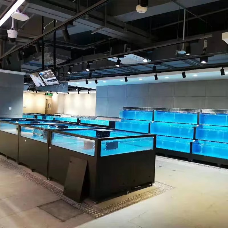 Квадратный стеклянный аквариум – обзор и цена Aquarium Xxl