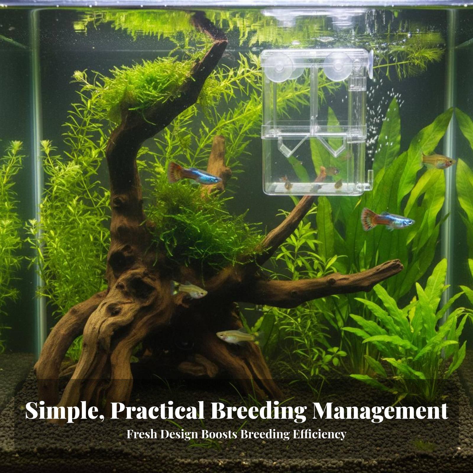 Двухслойный аквариумный резерв – обзор и цена Aquarium Fish In