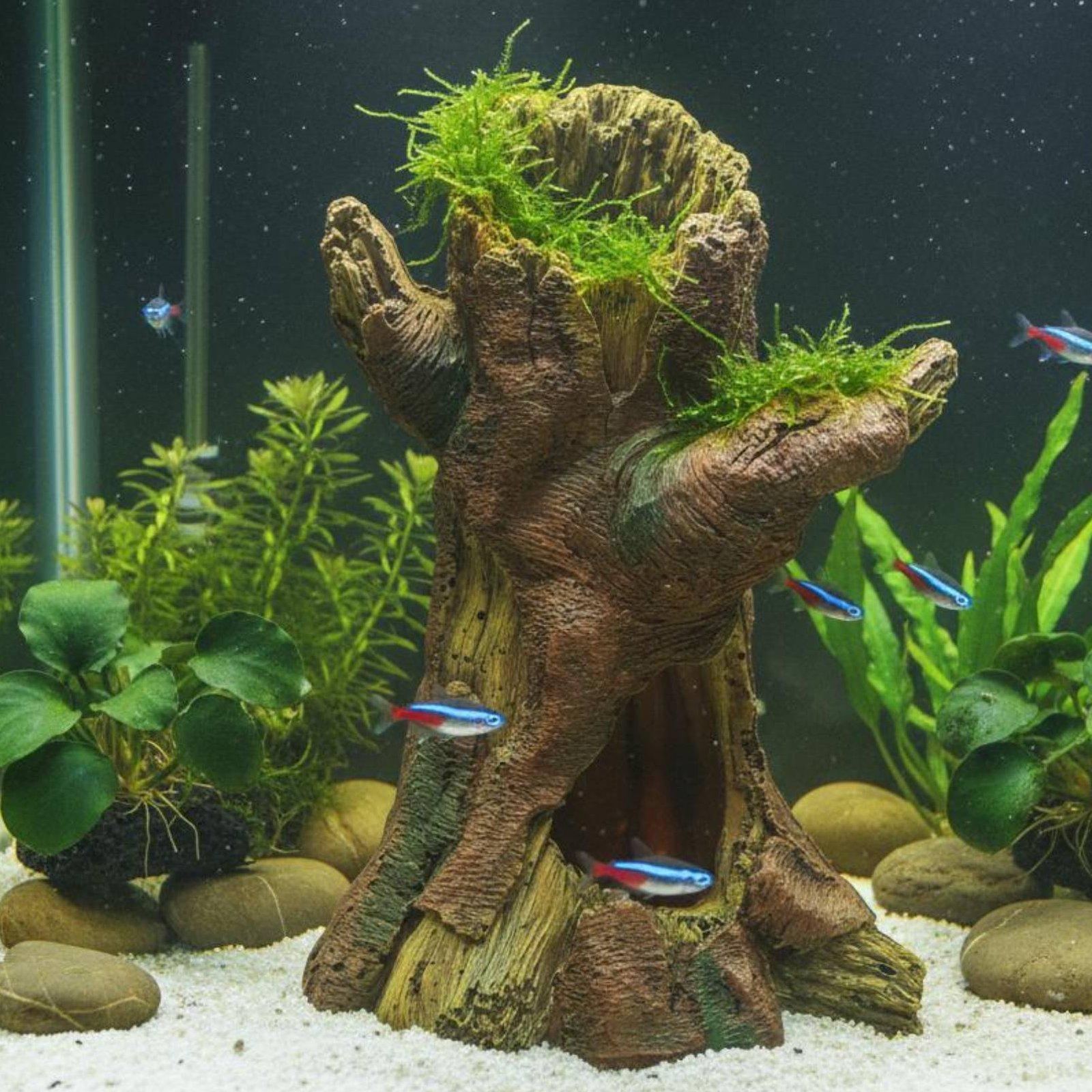 Декор для аквариума: Декоратив – обзор и цена Aquarium Fish In