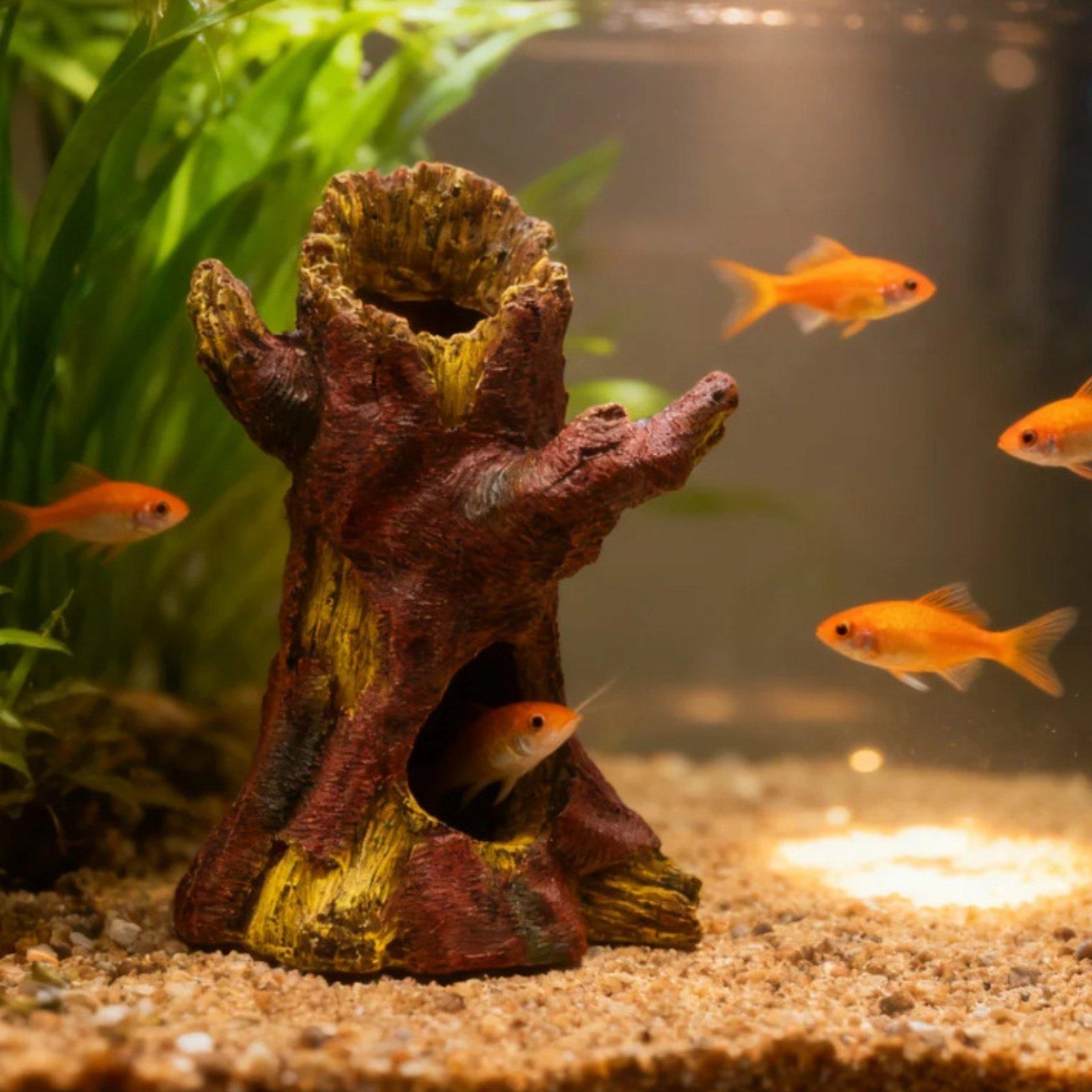 Декор для аквариума: Декоратив – обзор и цена Aquarium Fish In