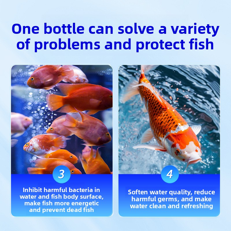 Аквариумная соль HUACHU для пр – обзор и цена Aquarium Fish Freshwater