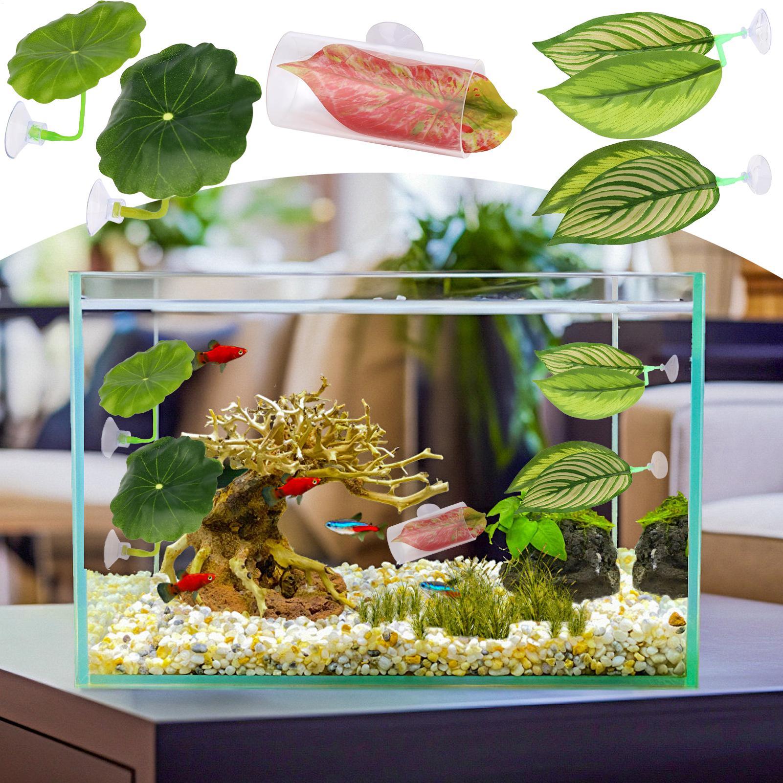 Гамак для рыбы Betta, 5 шт., р – обзор и цена Fish Toys For Aquarium
