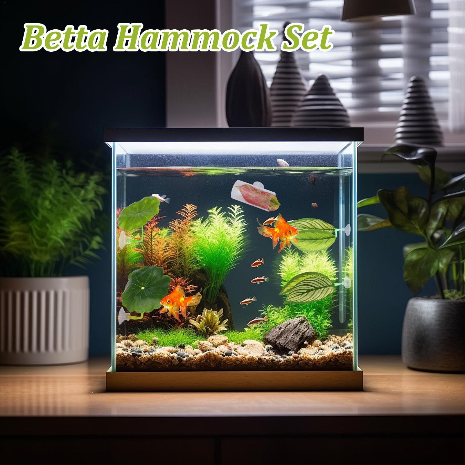 Гамак для рыбы Betta, 5 шт., р – обзор и цена Fish Toys For Aquarium
