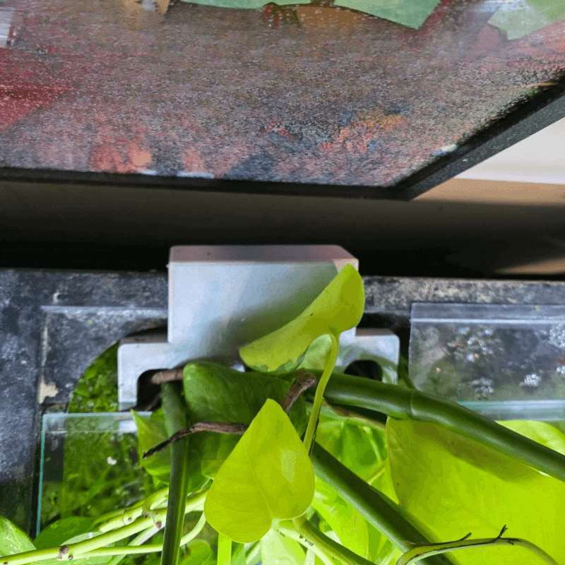 Кронштейн для крепления растен – обзор и цена Aquarium Fish Enrichment