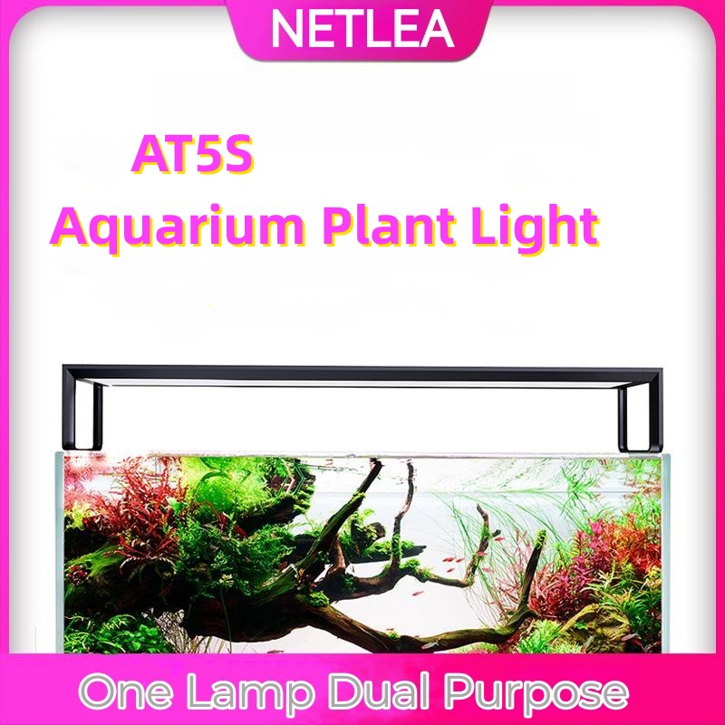 NETLEA 540S/590S аквариум полн – обзор и цена Aquarium Fish Photography