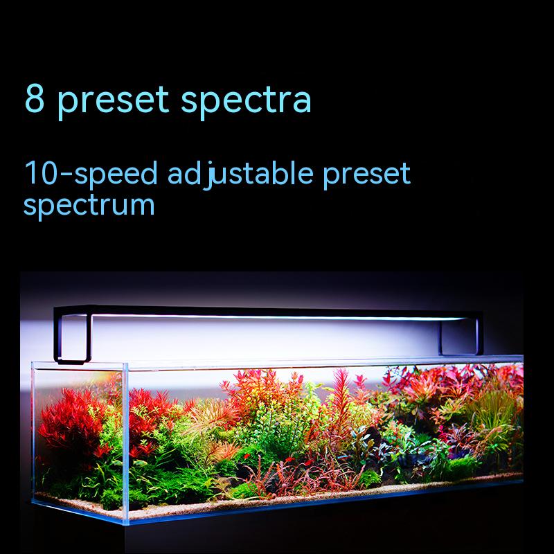 NETLEA 540S/590S аквариум полн – обзор и цена Aquarium Fish Photography