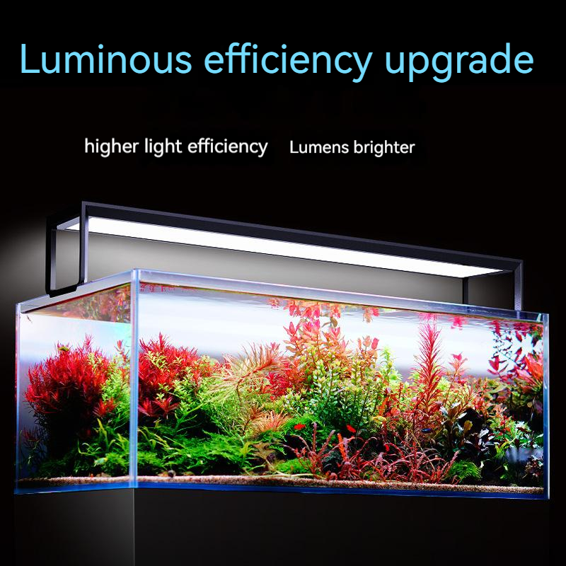 NETLEA 540S/590S аквариум полн – обзор и цена Aquarium Fish Photography