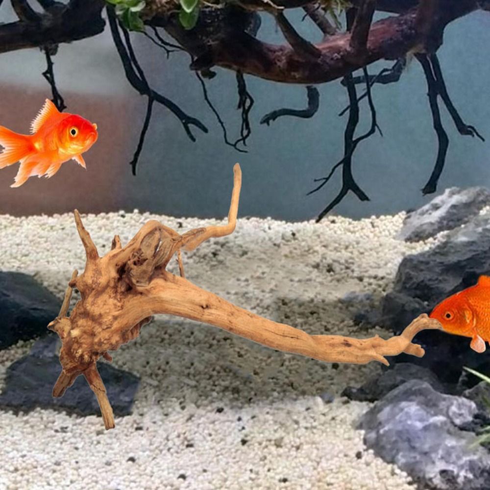 Натуральный ствол дерева, аква – обзор и цена Aquarium Fish Enrichment