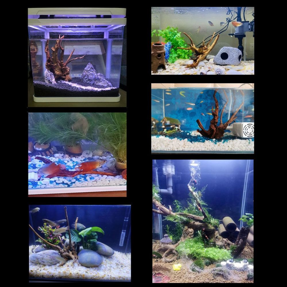 Натуральный ствол дерева, аква – обзор и цена Aquarium Fish Enrichment