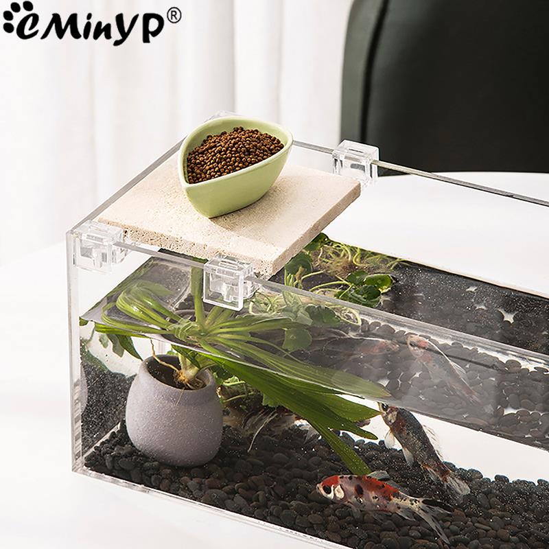 4 шт. акриловые зажимы для акв – обзор и цена Aquarium Fish Photography
