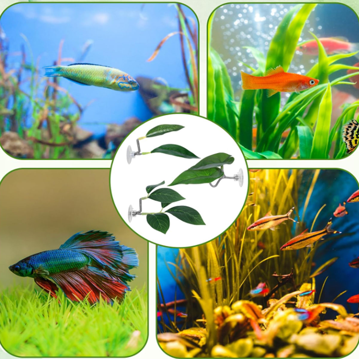 1 шт. Гамак для рыбок Бетта, м – обзор и цена Aquarium Fish Enrichment