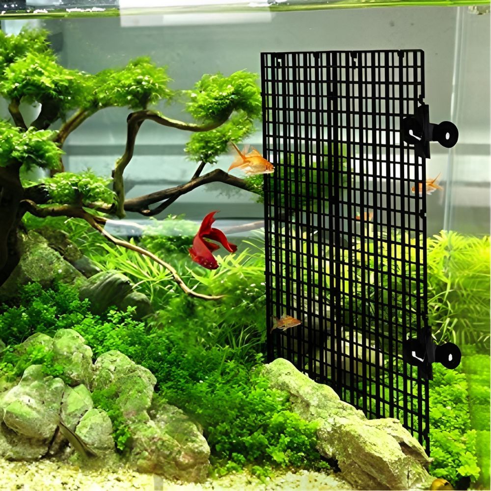 Набор из 14 черных пластиковых – обзор и цена Aquarium Fish Elevator