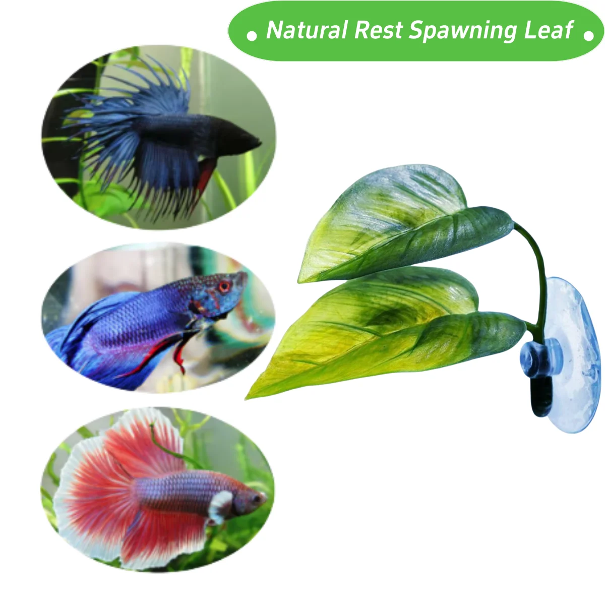 Декор для аквариума для домашн – обзор и цена Aquarium Fish Enrichment