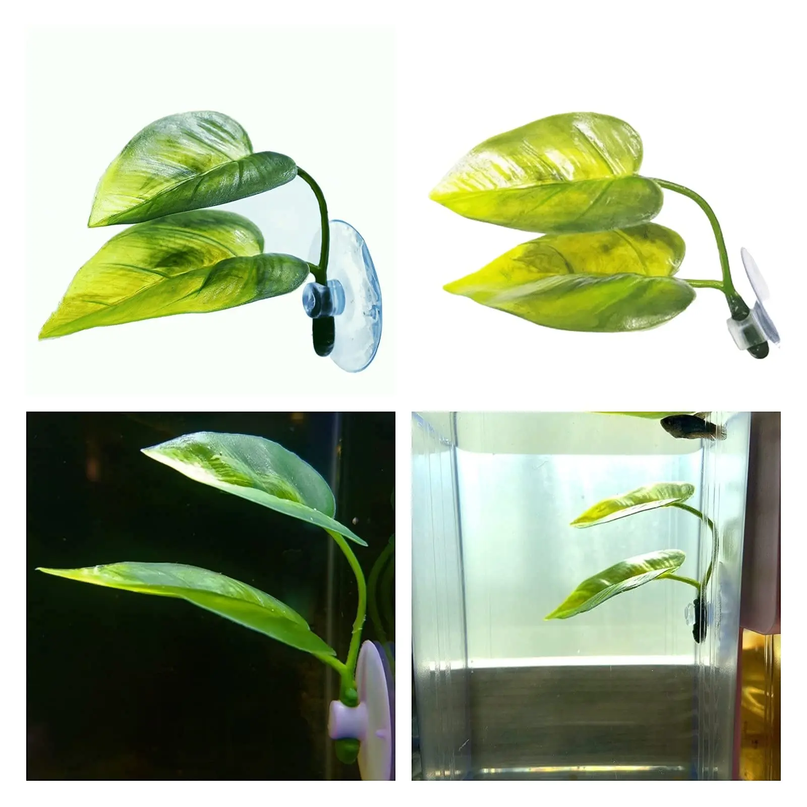 Декор для аквариума для домашн – обзор и цена Aquarium Fish Enrichment