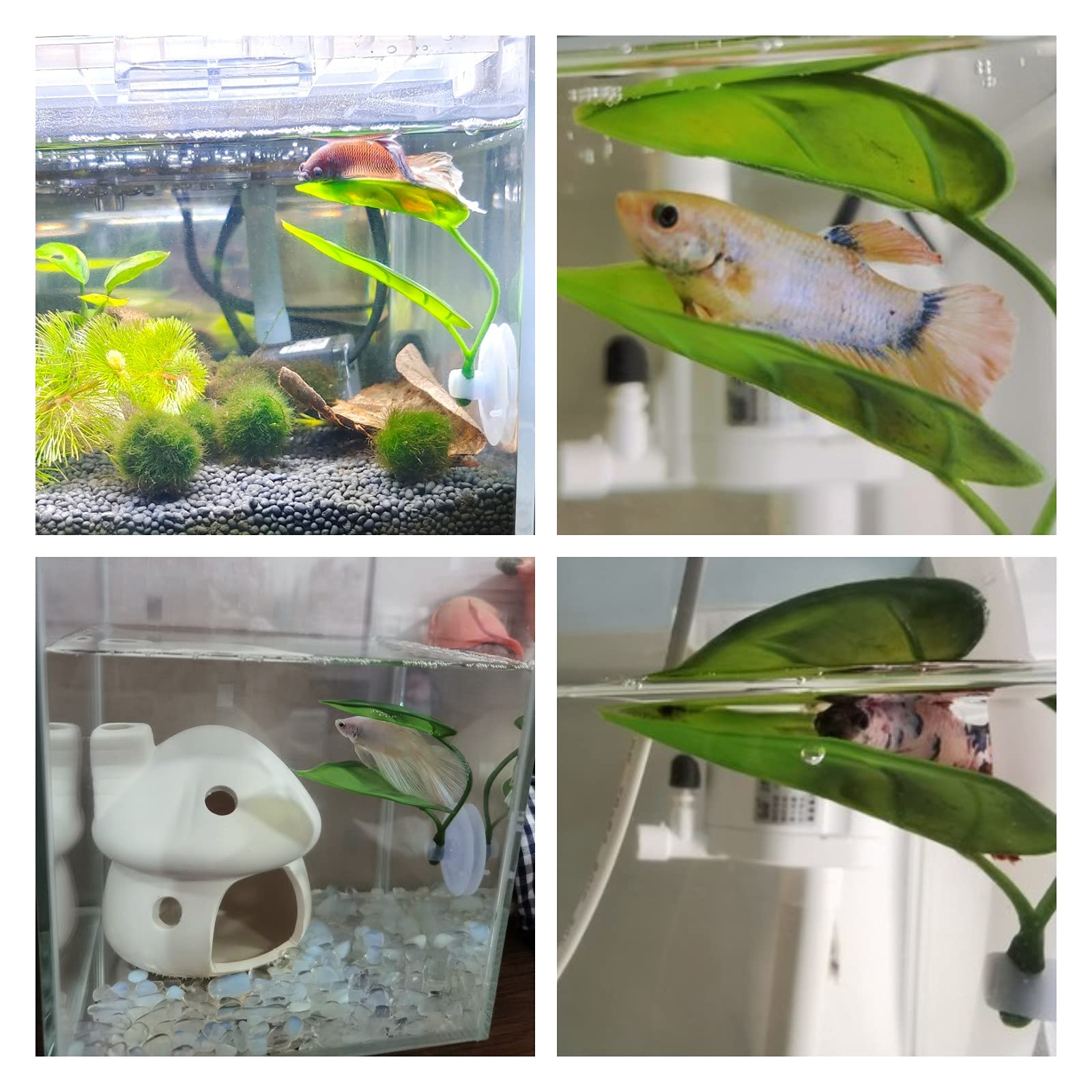 Декор для аквариума для домашн – обзор и цена Aquarium Fish Enrichment