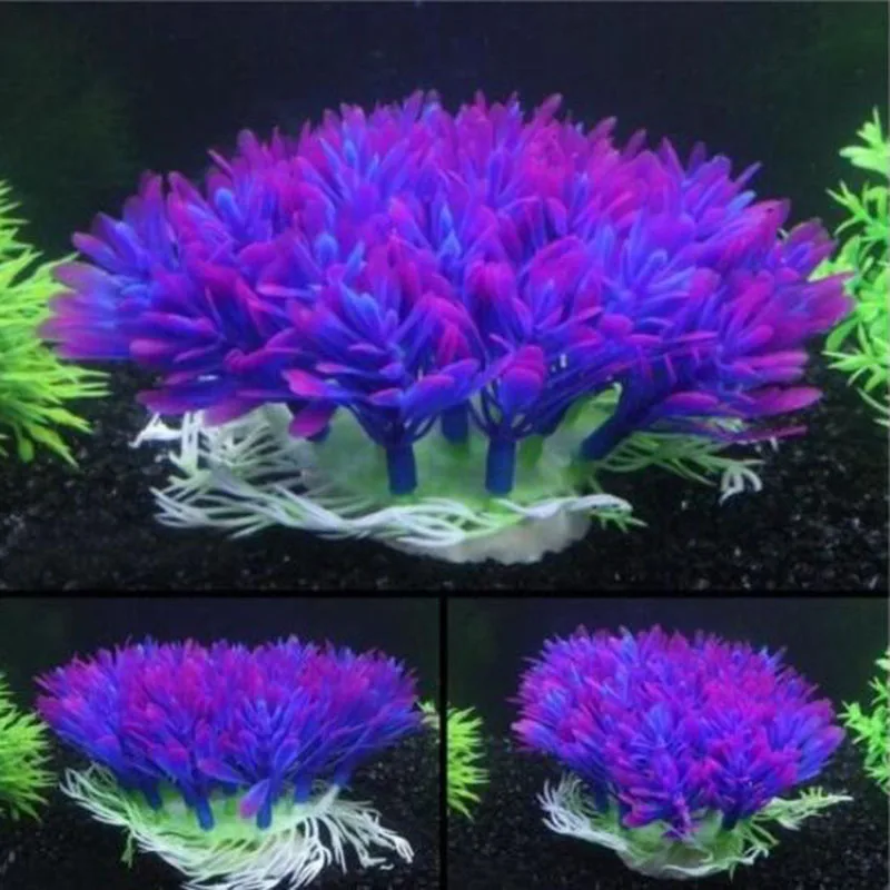 Искусственные широкие короткие – обзор и цена Aquarium Fish Enrichment