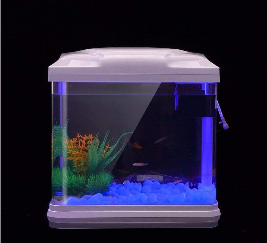 Скели для аквариума, светящиес – обзор и цена Aquarium Fish Photography