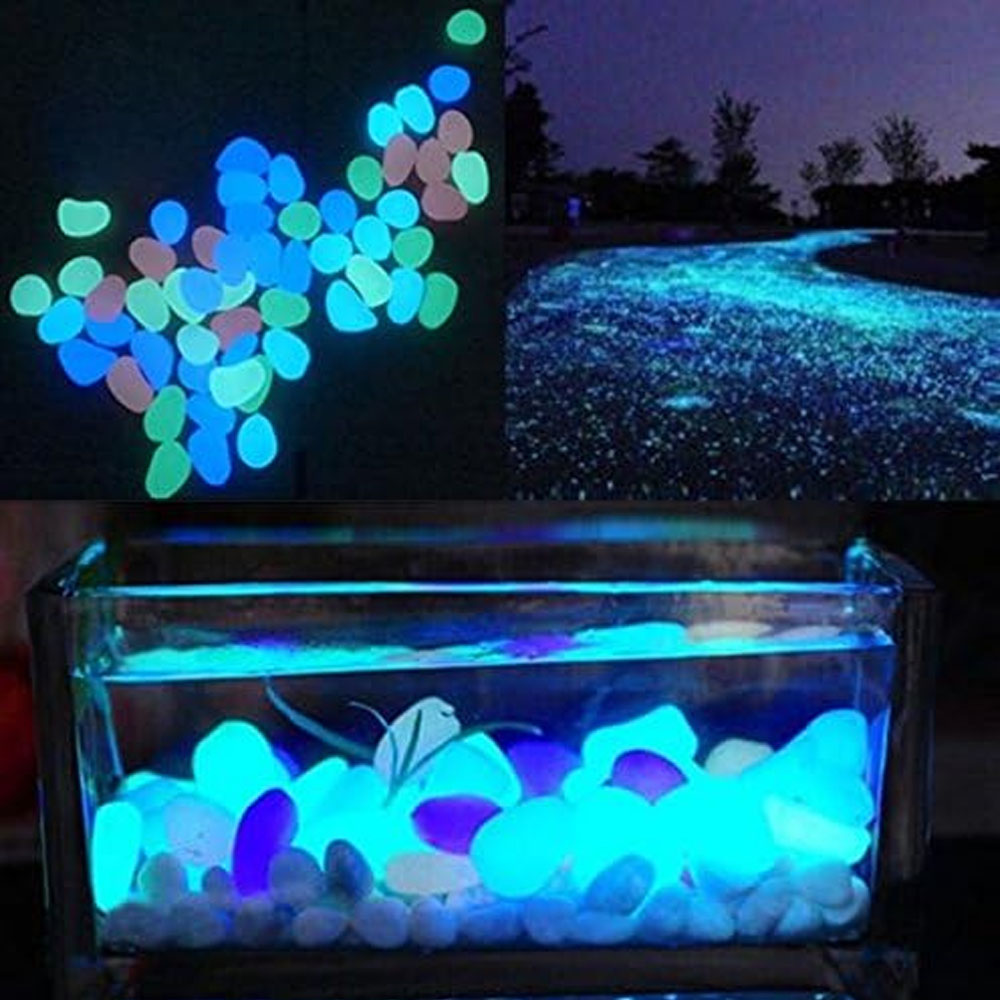 Скели для аквариума, светящиес – обзор и цена Aquarium Fish Photography