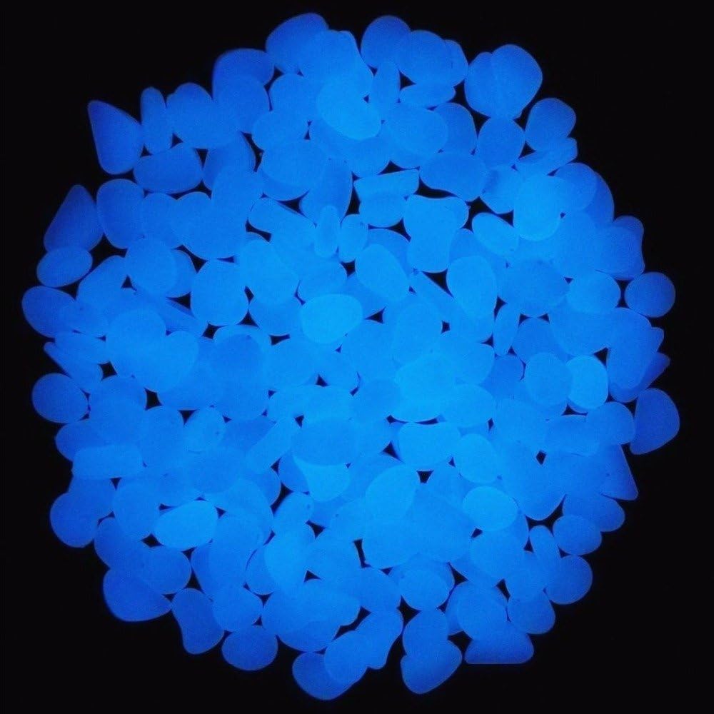 Скели для аквариума, светящиес – обзор и цена Aquarium Fish Photography