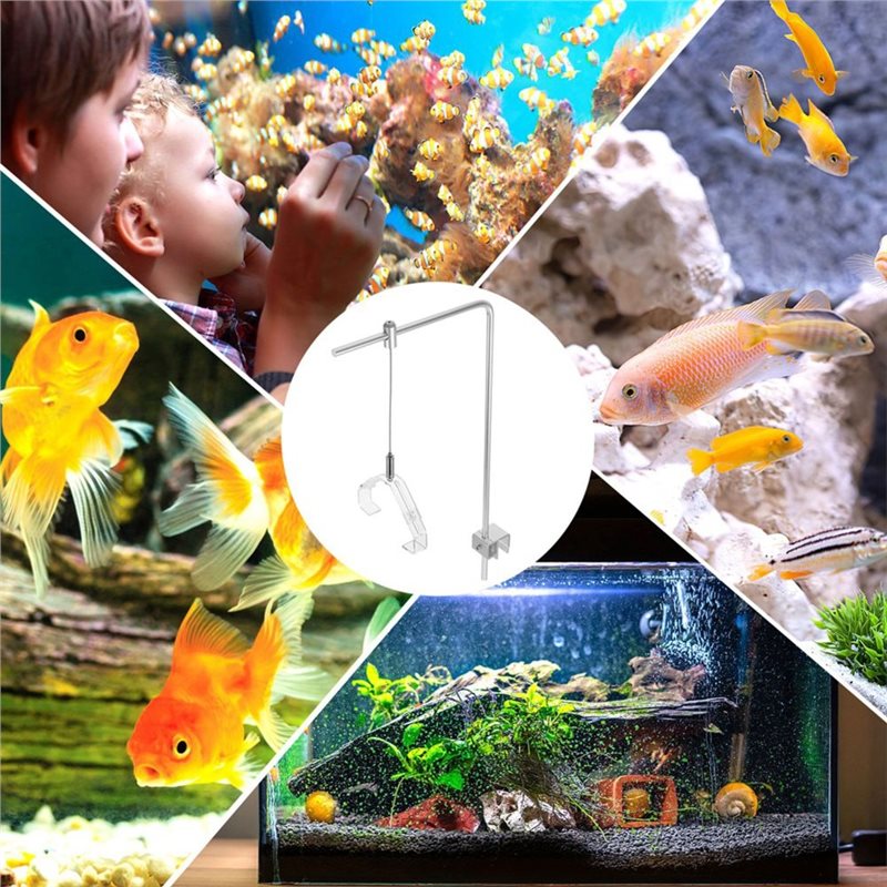 Подставка для аквариумного све – обзор и цена Aquarium Fish Freshwater