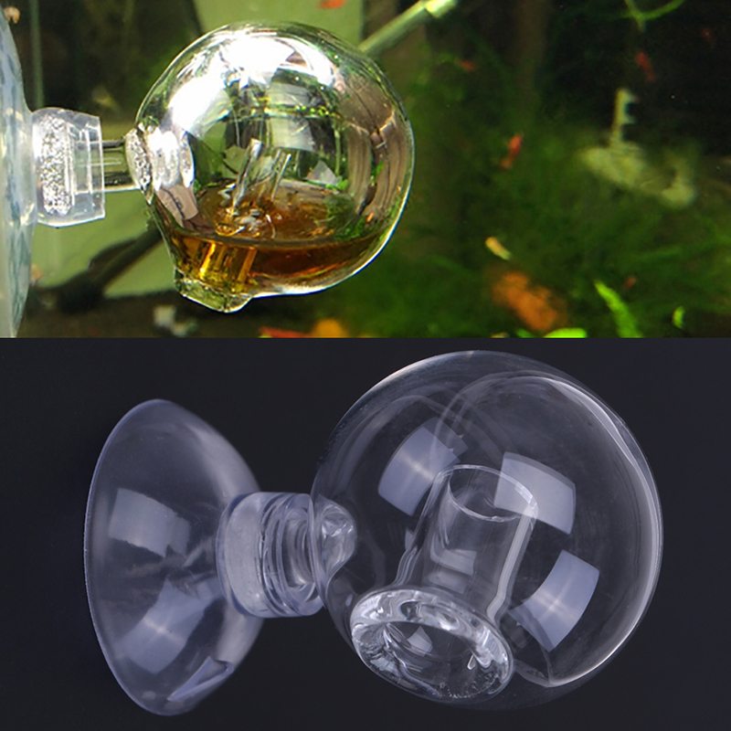 Диффузное стекло CO2 для прове – обзор и цена Aquarium Fish Photography