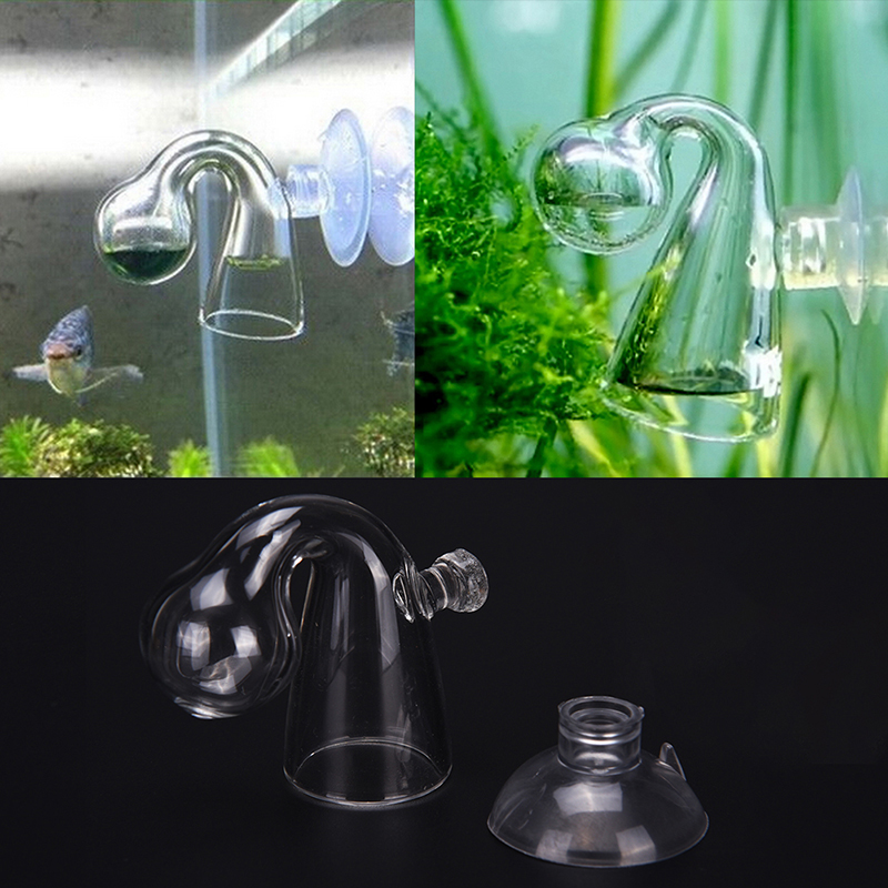 Диффузное стекло CO2 для прове – обзор и цена Aquarium Fish Photography